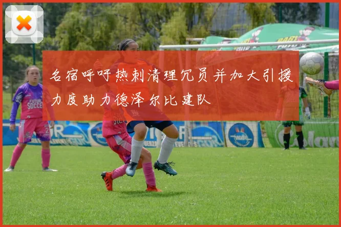 名宿呼吁热刺清理冗员并加大引援力度助力德泽尔比建队