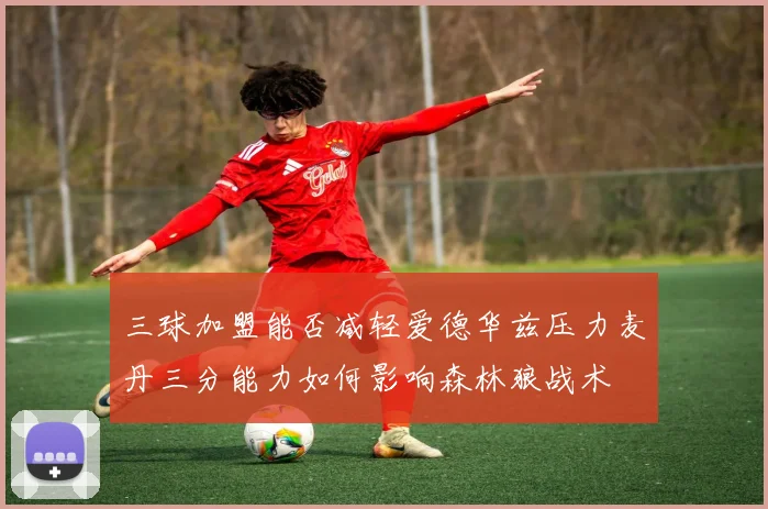 三球加盟能否减轻爱德华兹压力麦丹三分能力如何影响森林狼战术