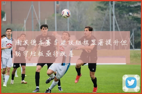 谢泼德本赛季进攻组织显著提升但防守短板亟待改善